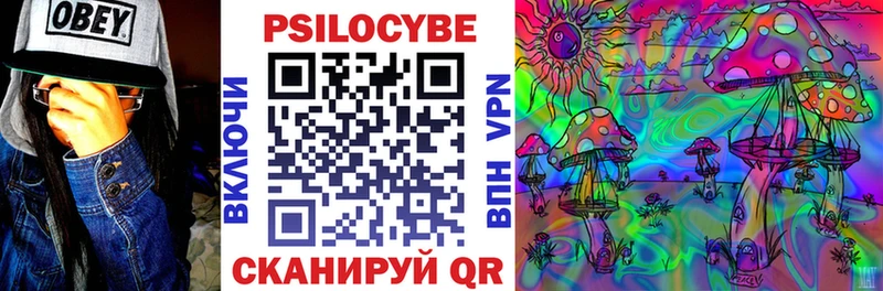 Галлюциногенные грибы Psilocybe  купить наркоту  Электроугли 